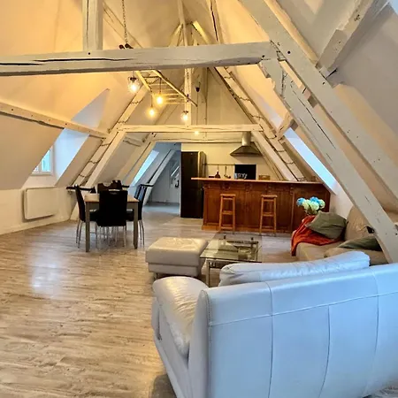 Sous Les Toits Des Jacobins, 3 Chambres, Wifi