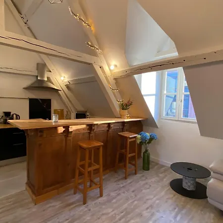 公寓 Sous Les Toits Des Jacobins, 3 Chambres, Wifi 阿棉