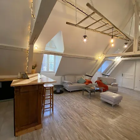 Sous Les Toits Des Jacobins, 3 Chambres, Wifi 公寓 阿棉